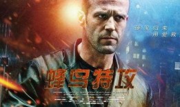 蜂鸟特攻在线观看,空中猎手的绝地反击